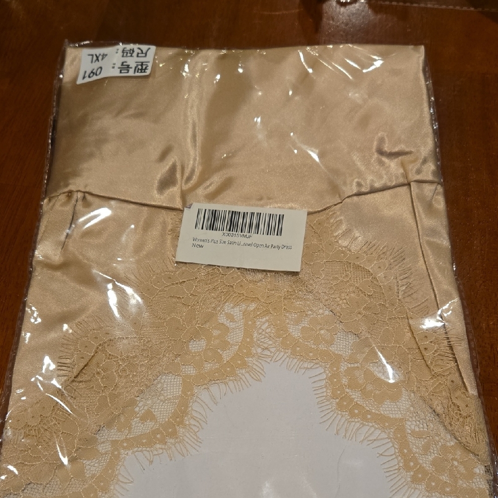 Satin Lace Trim Slip Dress in Champagne